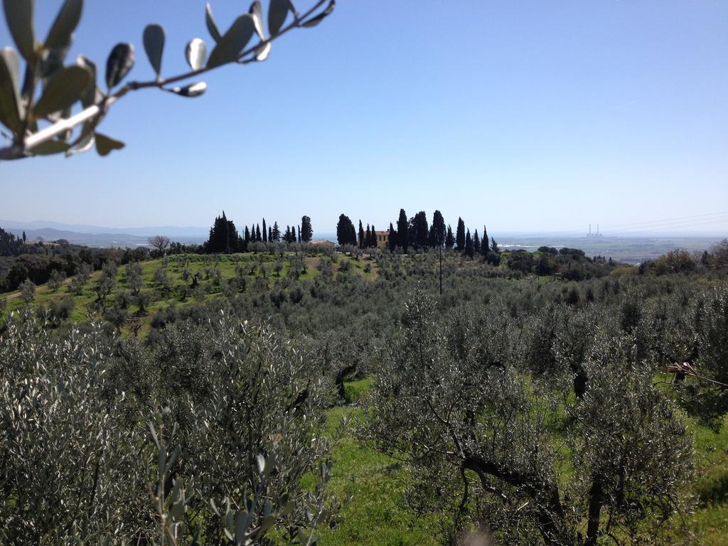 Agriturismo Mercurio Villa Campiglia Marittima Esterno foto